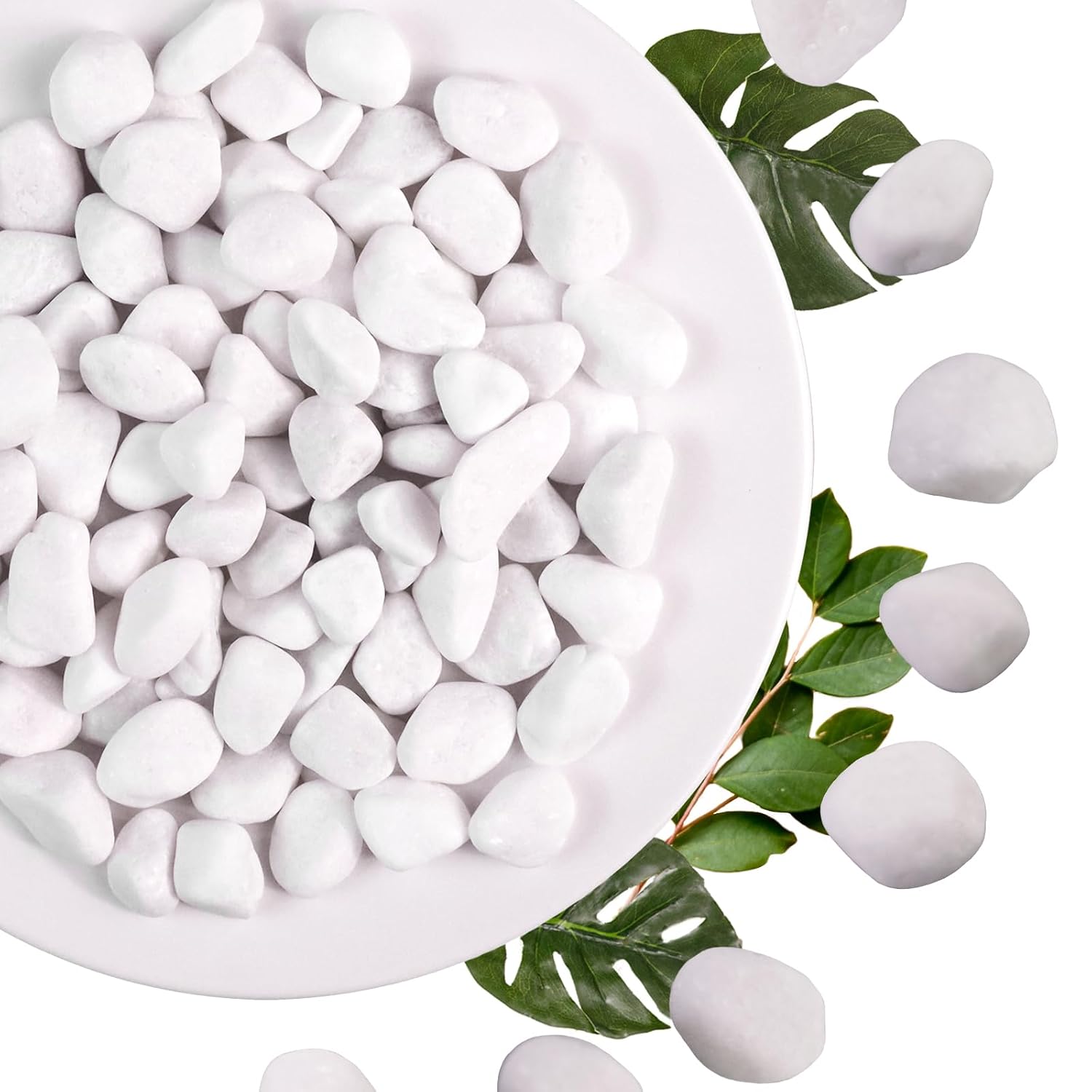 5Ib Snow White River Rock-Decorative Stones-Pebbles for Indoor Plants-Rocks for Outdoor Landscaping- 0.3"-0.8" inch High Polished Stones for Fish Tank, Terrarium,Vases, Home Decor