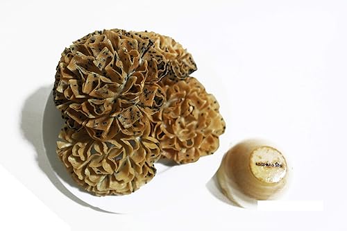 Miniatura 8 de DOK JOK - Ramo de galletas de girasol de 3.0 pulgadas de diámetro, molde para galletas crujientes de latón, flor de loto