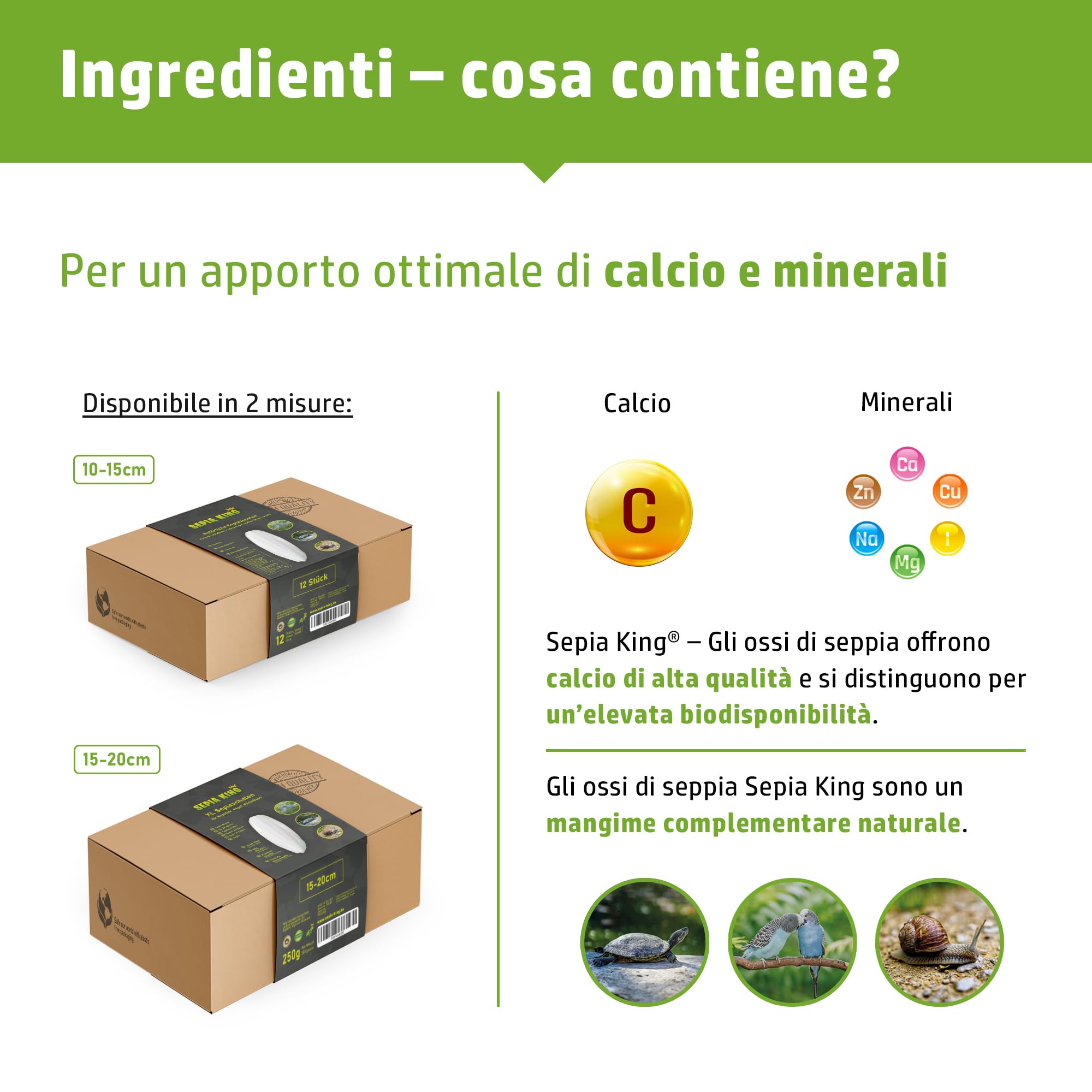 Sepia King - 12 Pezzi Ossi di Seppia per pappagalli, tartarughe, cocorite, canarini, lumache - 10-15cm Osso di seppia 100% naturale - Calcio per rettili, uccelli e invertebrati