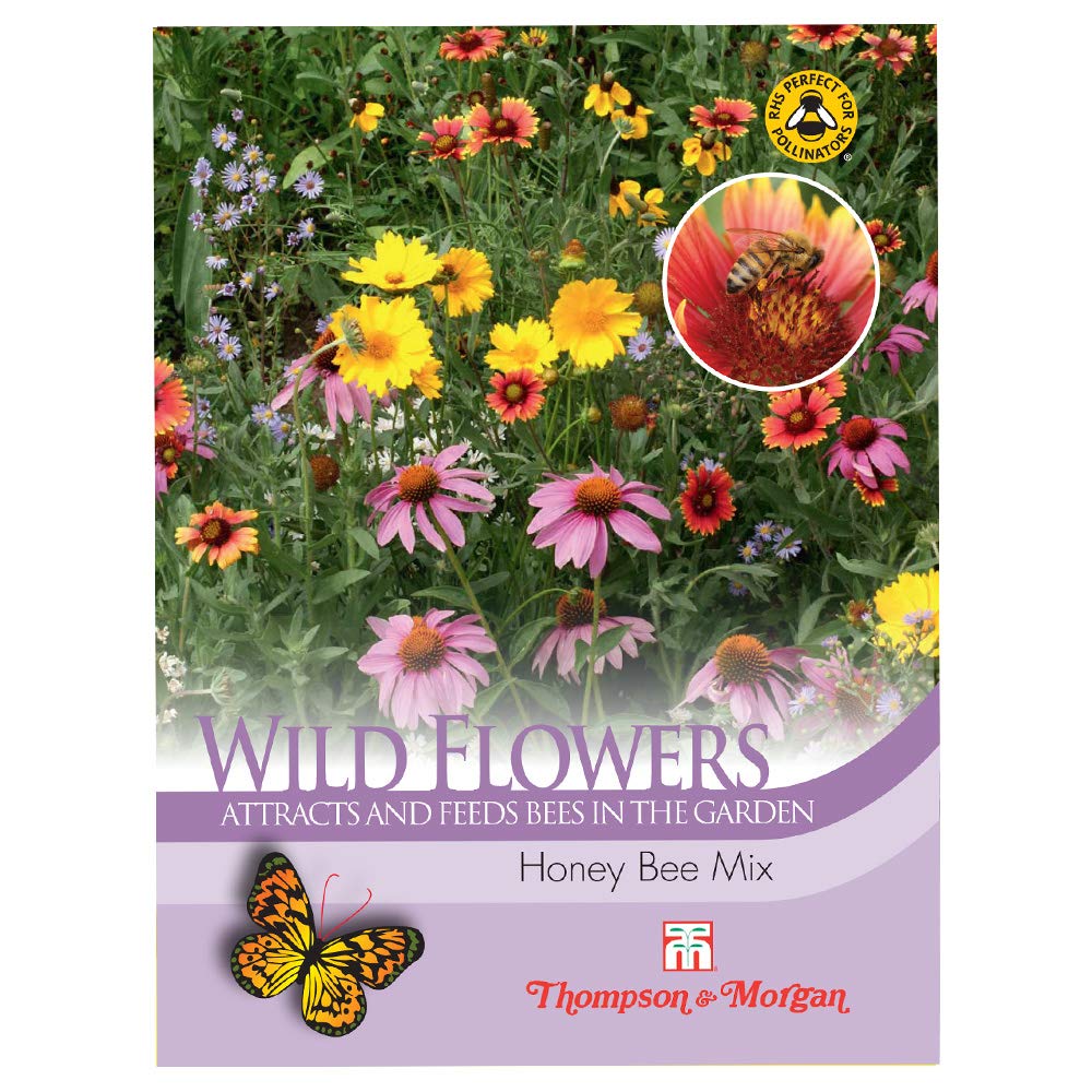 Wild Flower Honey Bee Flower Mix By Thompson and Morgan