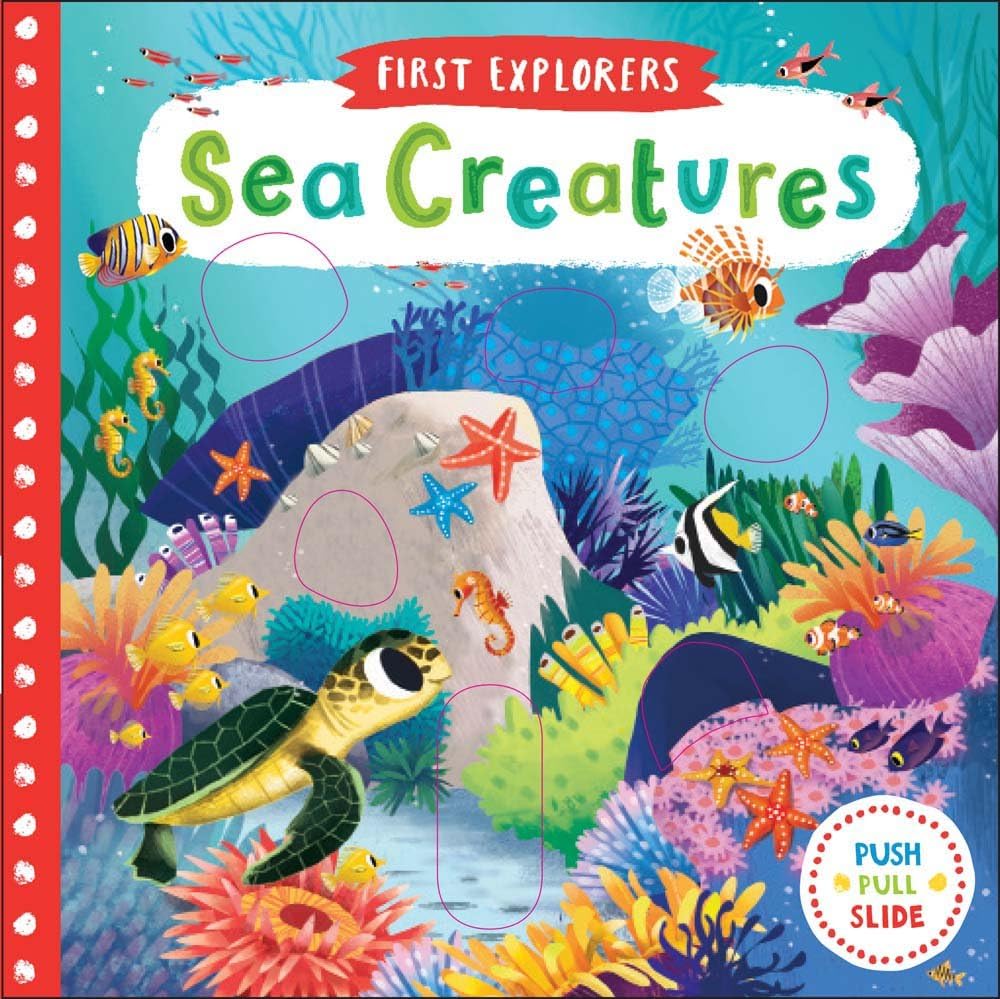Sea Creatures (First Explorers) Board book – August 1, 2017