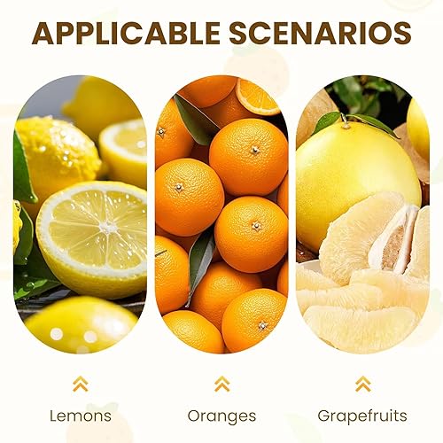 Miniatura 5 de Exprimidor de limón de acero inoxidable, exprimidor de cítricos manual grande y exprimidor de lima, exprimidor de limón de mano resistente,
