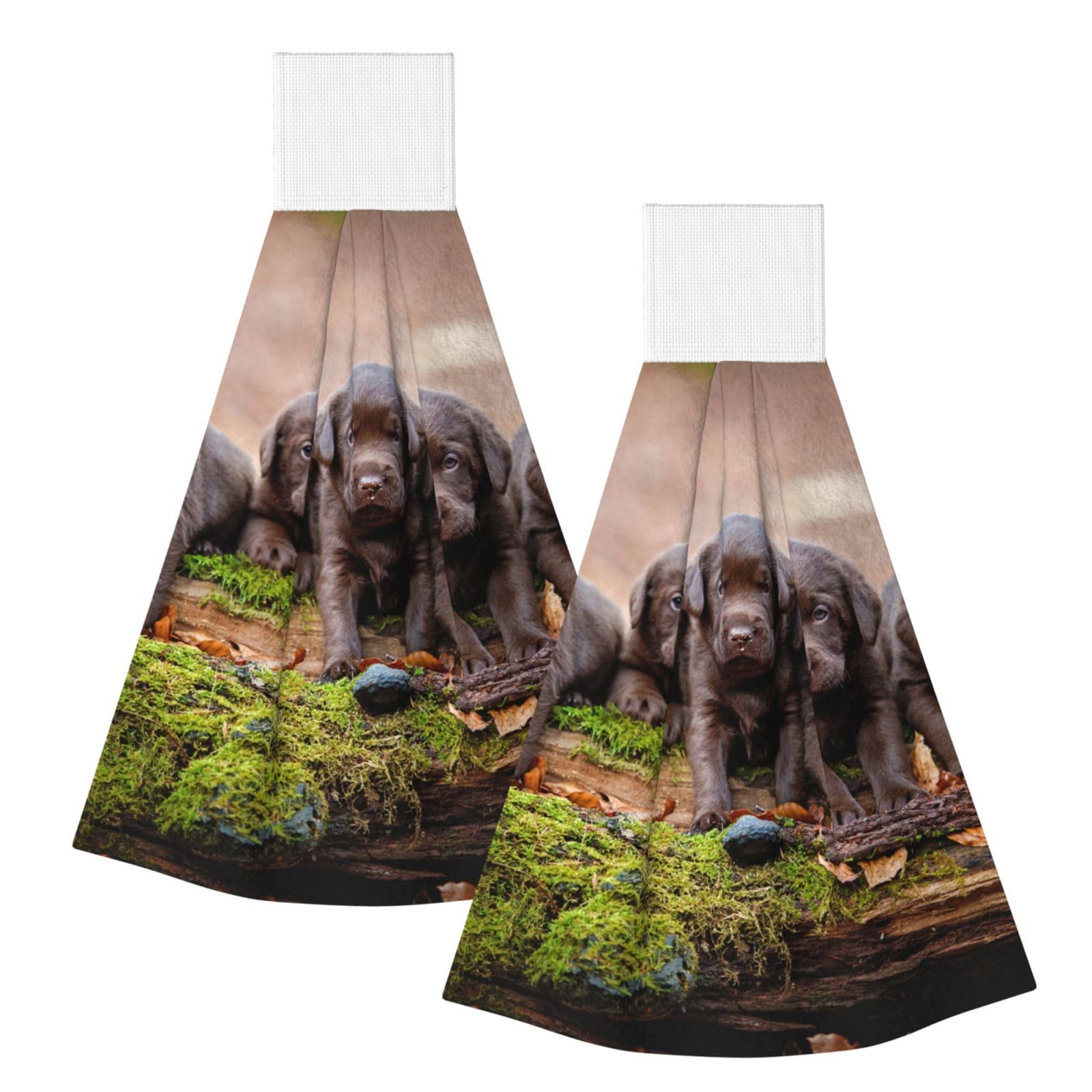 DOPKLNA Labrador Puppies Brown Little Puppies Family, 2 Pcs Hanging Coral Fiber Hand Towels for Bathroom, Absorbent Kitchen Towels