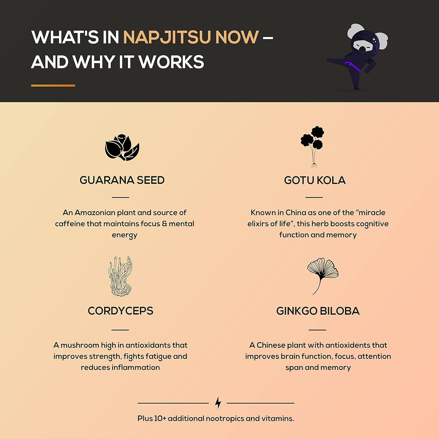 NAPJITSU Now Sustained Energy Supplement - 315mg of Nootropics with Caffeine - Crash-Free Brain Enhancer for Focus and Mental Clarity - Natural Energy Pills - 28 Count : Health & Household