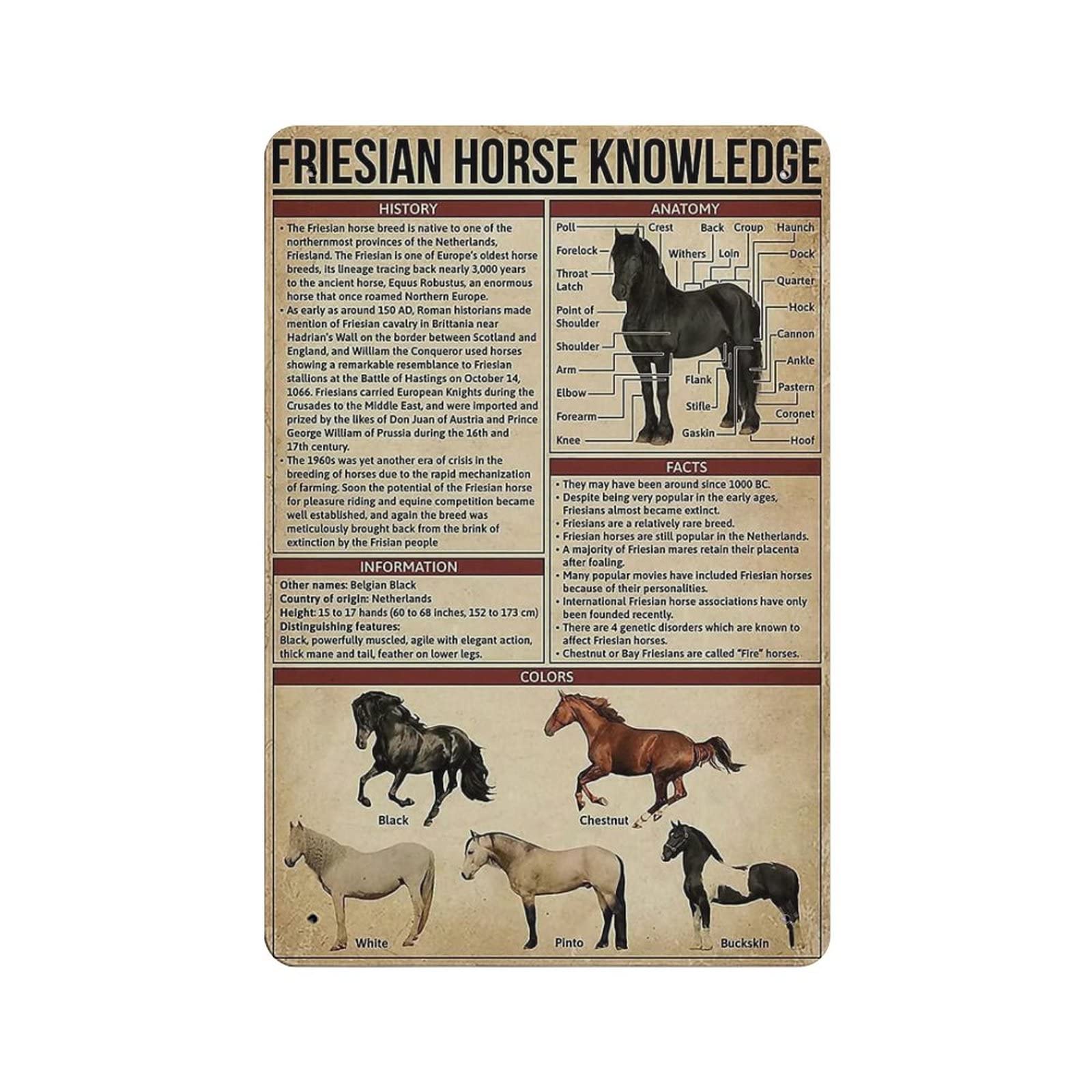 AOOEDM Friesian Horse Knowledge Vintage Tin Sign Metal Tin Signs for Man Cave Funny Art Wall Plaque Kitchen Bar Pub Coffee Shop Wall Decor