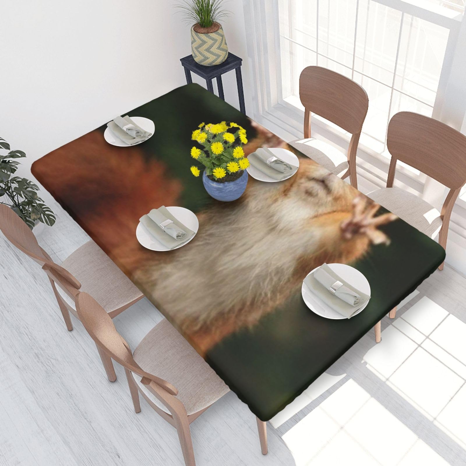 BNVSADC Squirrel Funny Animal-r18325 Printed 4FT Tablecloth 122x76 CM Polyester Kitchen Water Resistant Table Cloth Dining Table Decoration Table Covers