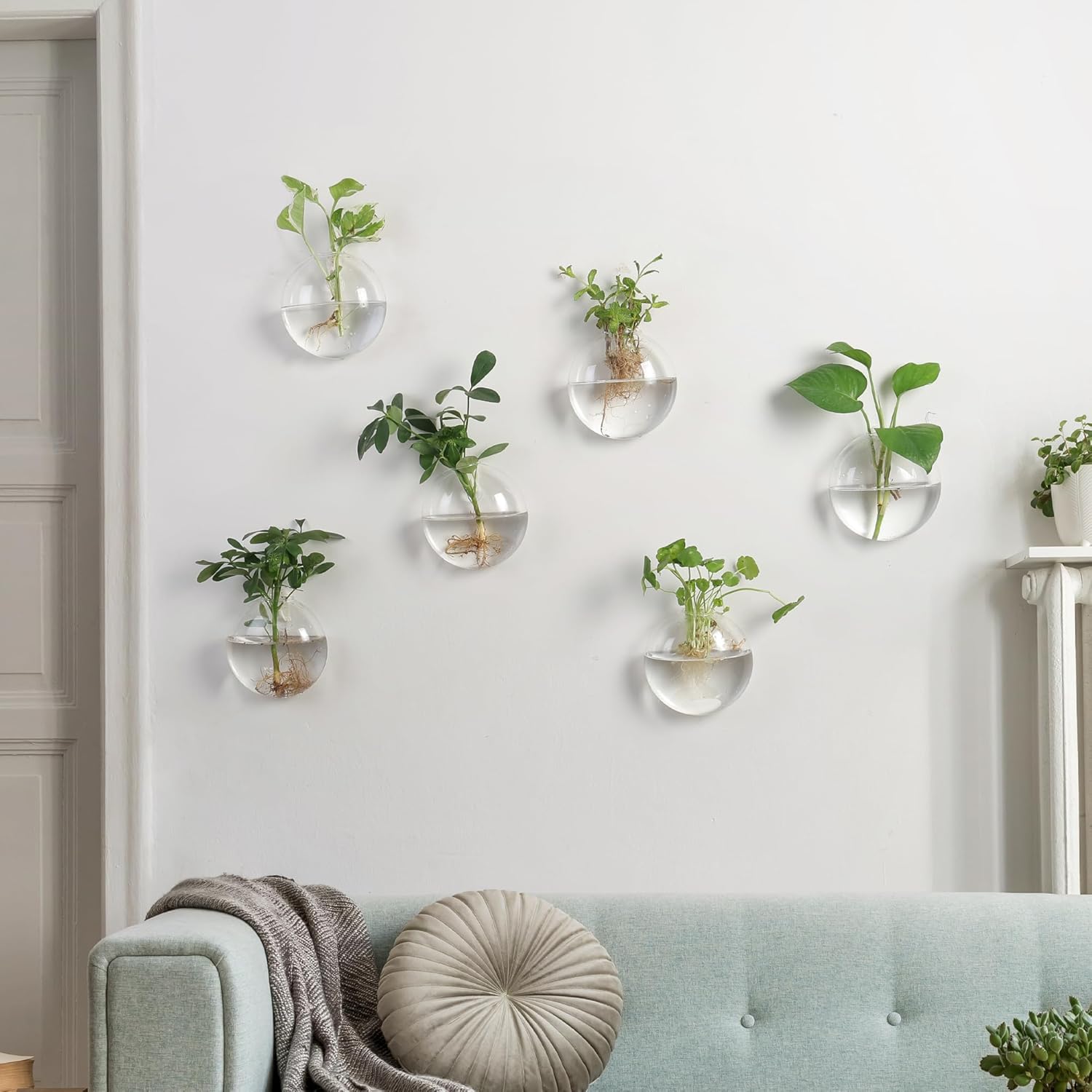 Wall Propagation Planters 6 Pack Glass Wall Planters for Indoor Plants, Wall Plant Holder Plant Propagation Wall Hanging, Glass Flower Vase Indoor Hydroponic Decor