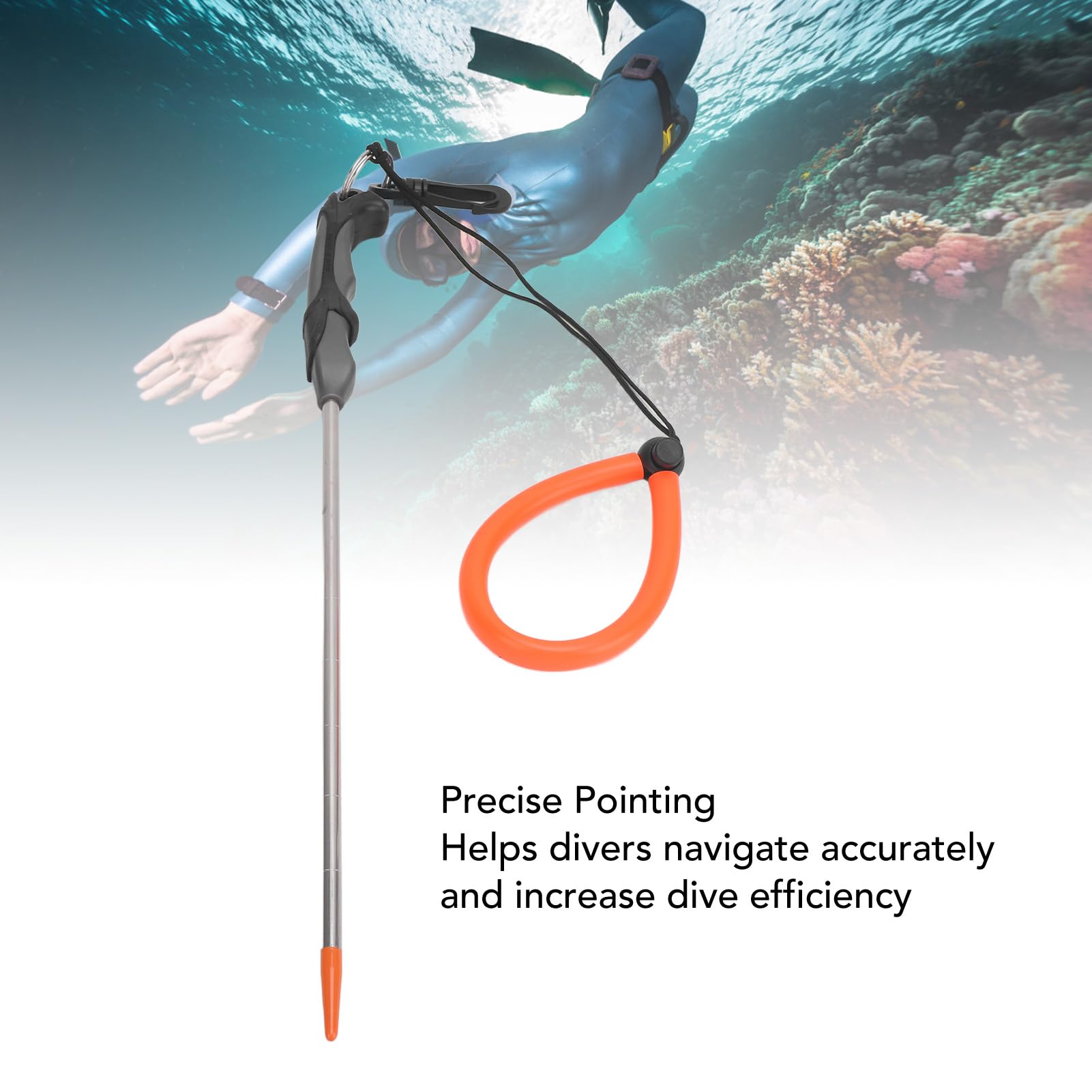 Scuba Diving Stick, 316 Stainless Steel Lobster Tickle Stick Pointer Rod with Measurement, Adjustable Lanyard and Swivel Snap Bolt for Underwater Shaker Noise Maker Snorkeling