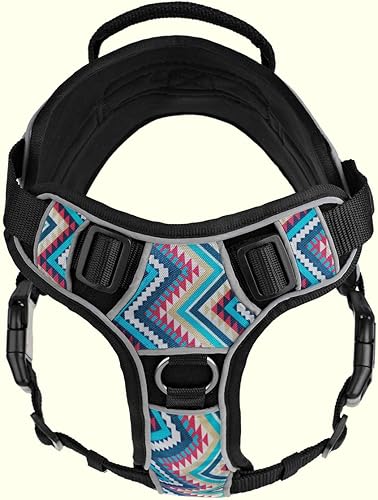 Miniatura 4 de Dogline Quest - Arnés para perro sin tirones con soporte emocional parches reflectantes extraíbles suave y cómodo chaleco para perro con hebilla