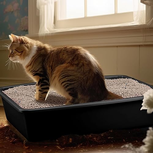 Miniatura 4 de Caja de arena abierta para gatos, bandeja de arena para gatos con 10 cucharas, bandeja de arena mediana de plástico, caja de arena antiadherente