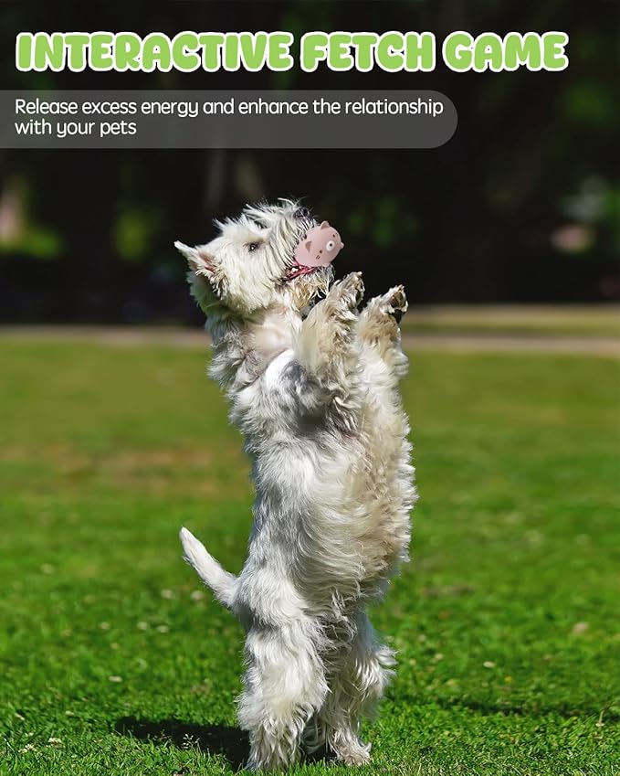 Juguetes para Perros SCHITEC con Sonido, Pack Interactivo miniatura 6