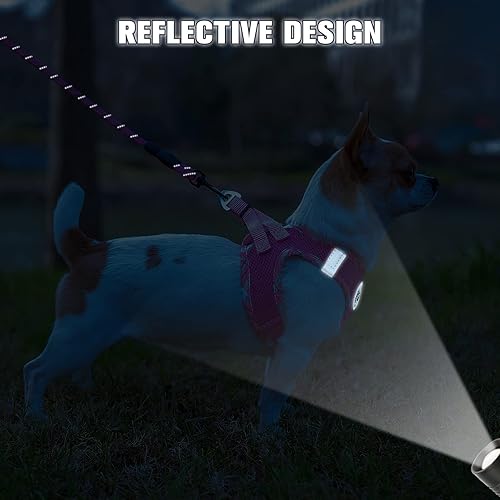 Miniatura 143 de BEAUTYZOO Juego de arnés y correa para perro, arnés reflectante para perro, sin tirones, sin estrangulamiento, para perros pequeños, medianos