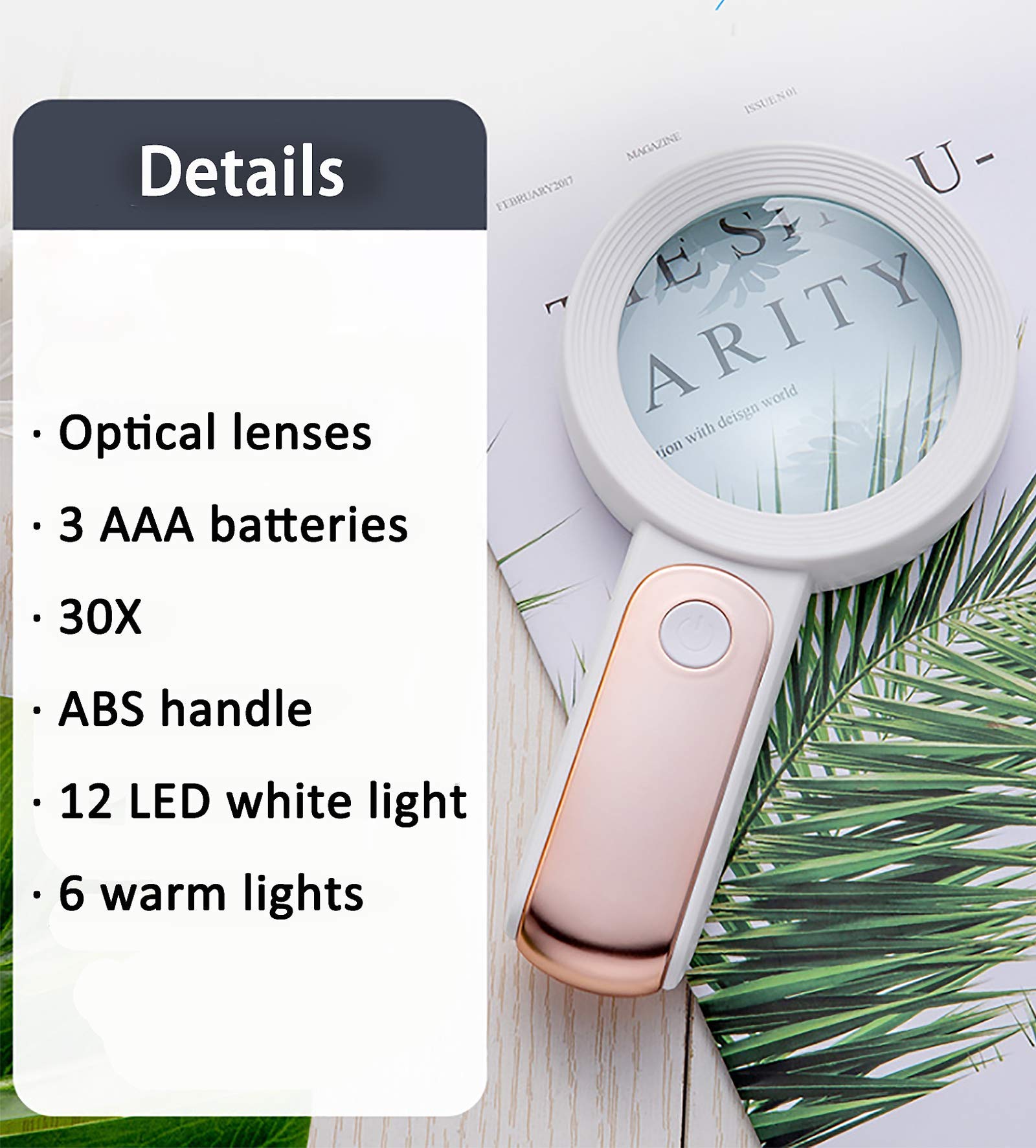 Amazon.co.jp: ライト付き拡大鏡30xハンドヘルド、拡大鏡LEDライト付き