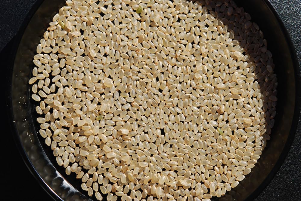 Amazon.co.jp: 【7年産】玄米 20kg(5kg×4袋） 新潟 新之助