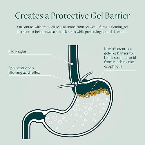 Miniatura 3 de Khelp - Suplemento de alginato de primera calidad para el reflujo natural, ERGE, acidez estomacal, LPR y reflujo ácido, sin medicamentos, diseñado