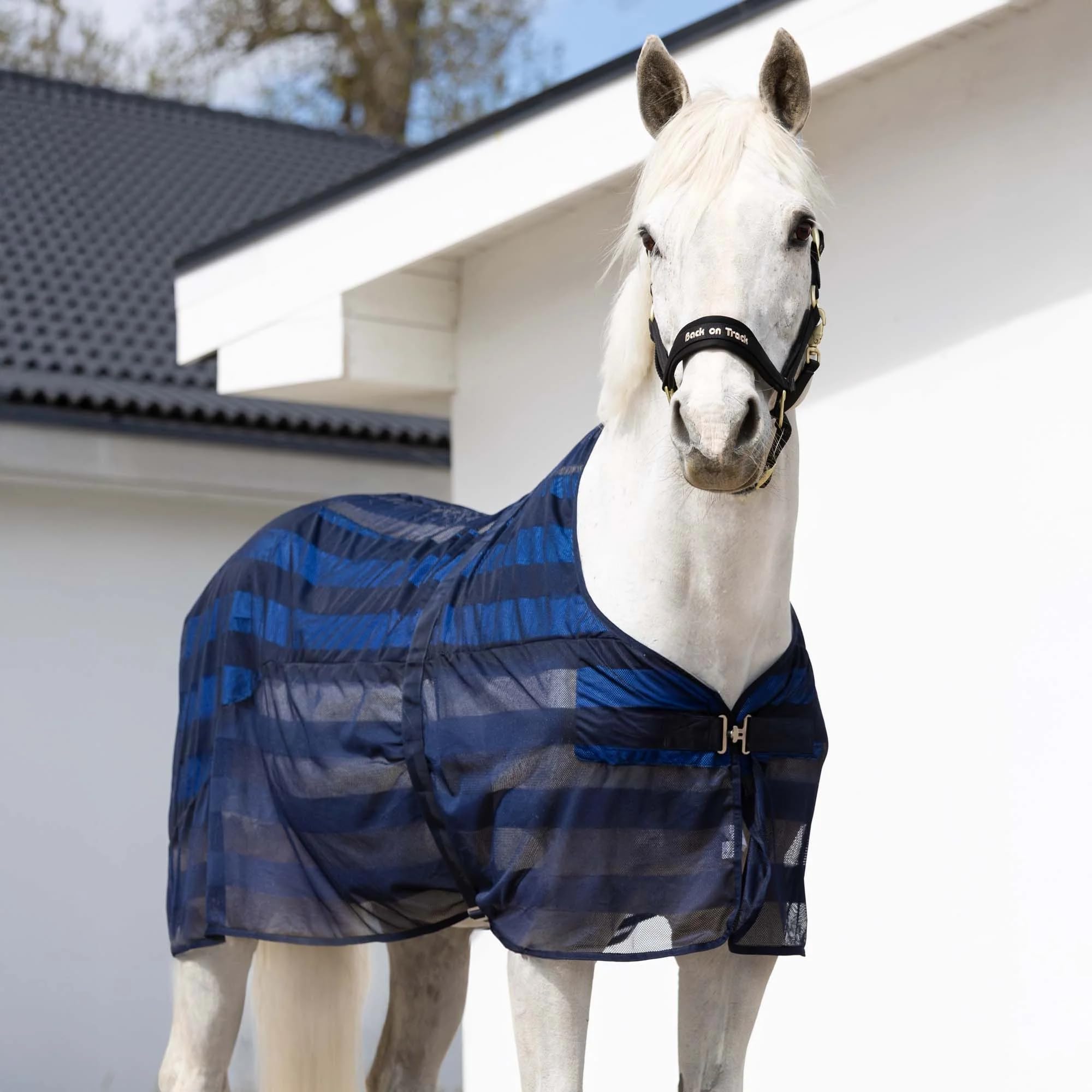 Back on Track® - Manta Cool on Track® para caballos de refrigeración | Tejido de malla 3D / Material Cool on Track® | Color: Azul/Negro (155)