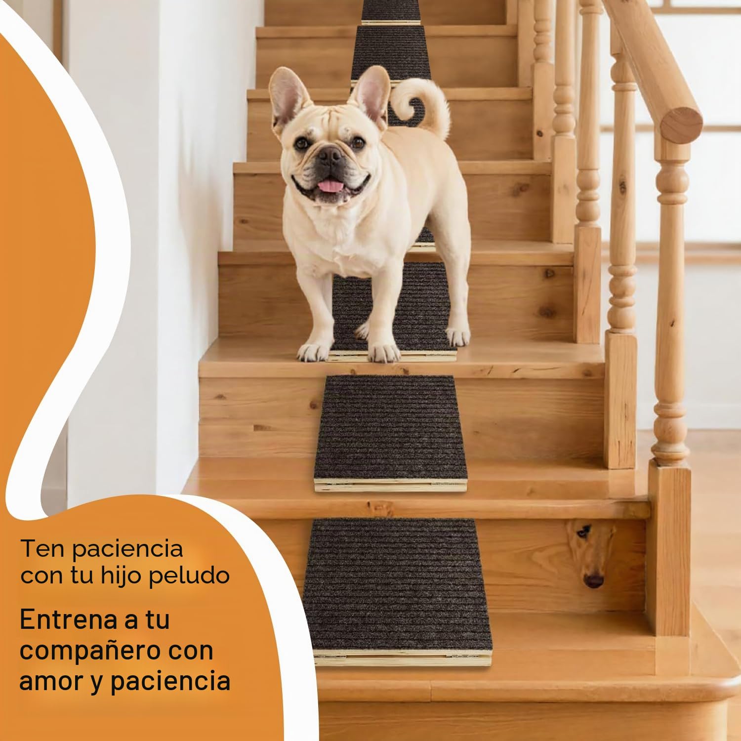 2 Piezas Rampa para Perros,Escalera para Perro,Rampas para Mascotas de Ángulo Ajustable Bajo,con Almohadilla Antideslizante Escalones y Escaleras Que Ayudan a Perros Pequeños y Mascotas