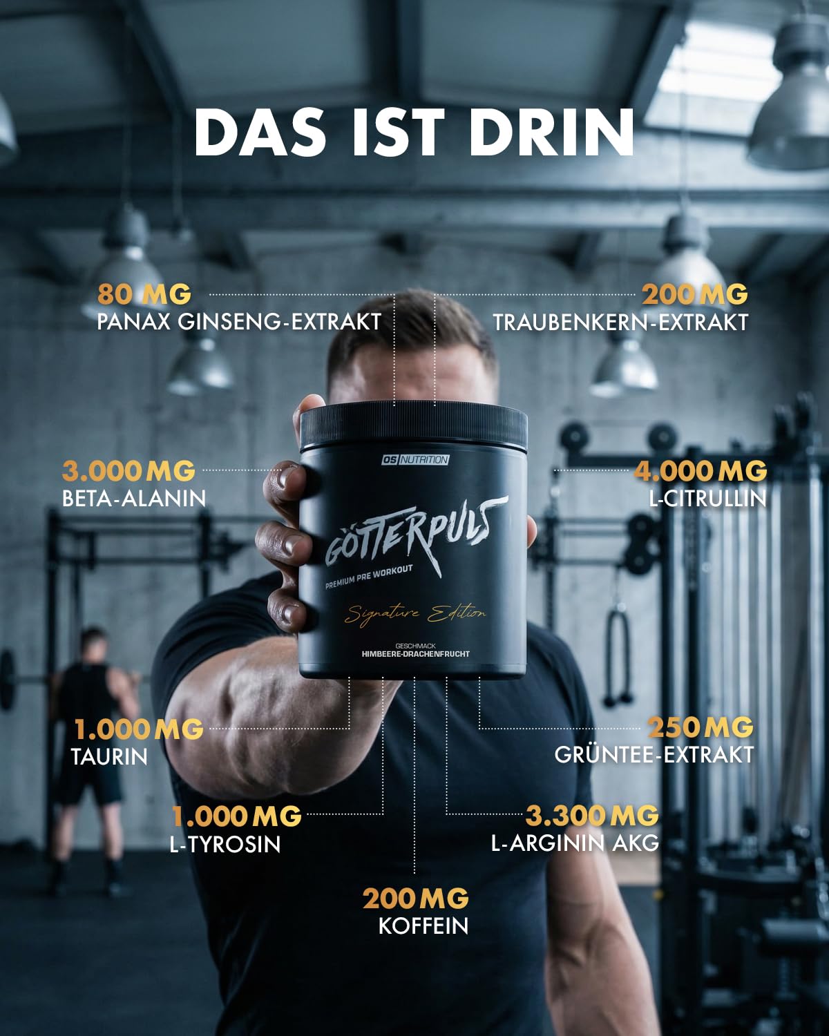 Götterpuls Pre Workout Signature Edition 395g Pulver Himbeere-Drachenfrucht | Mit L-Citrullin, AAKG, L-Tyrosin & Beta-Alanin – 200mg Koffein pro Portion – Vegan – 25 Portionen