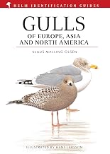 Gulls of Europe@@ Asia and North America (Helm Identification Guides)