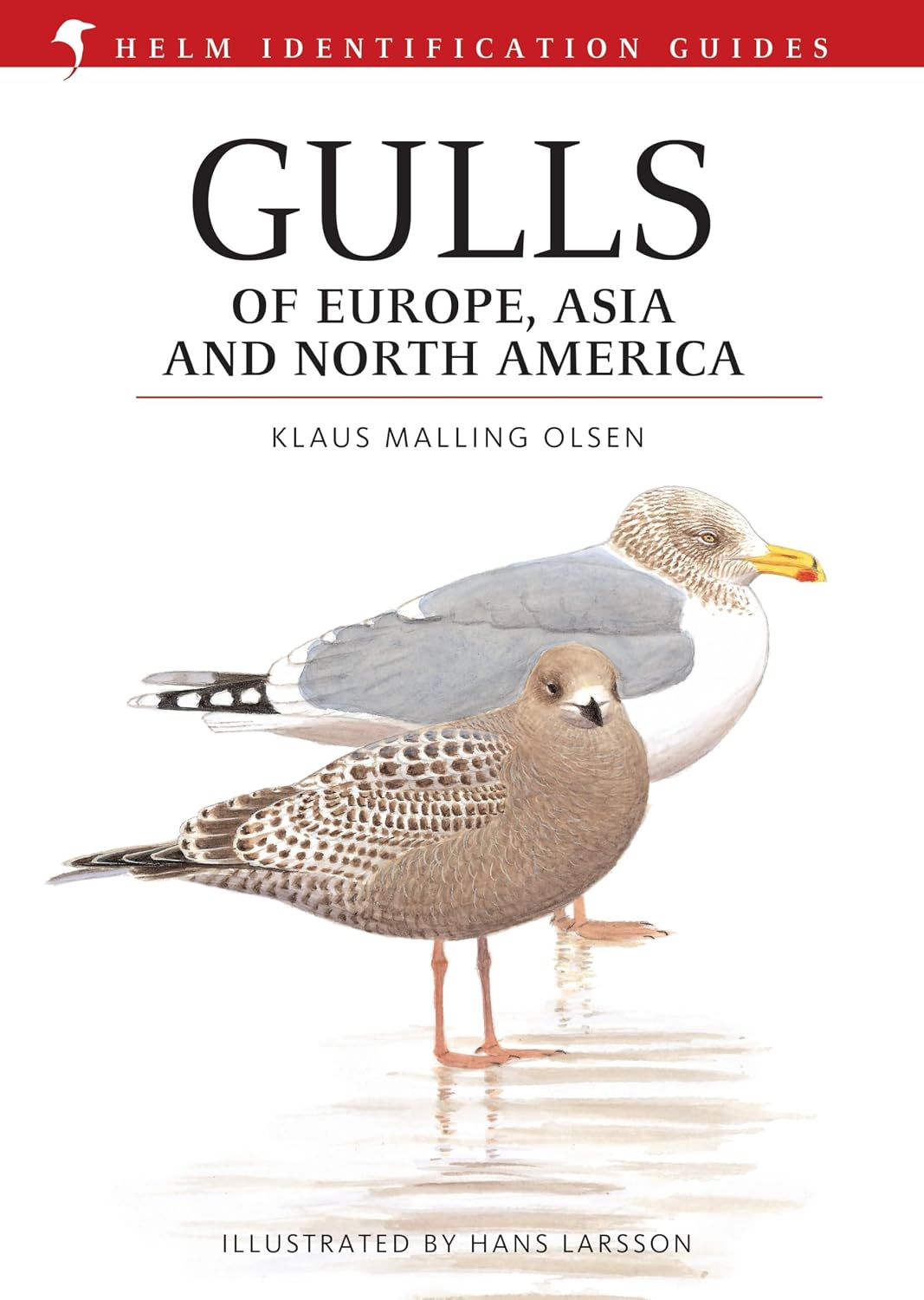 Gulls of Europe@@ Asia and North America (Helm Identification Guides)