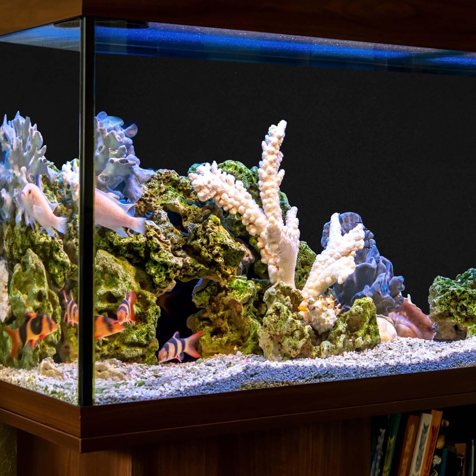 lasuroa Sfondo per Acquario, 40x100 cm Sfondo per Acquario Nero Sfondo per Acquario Statico Sfondo per Acquario Statico