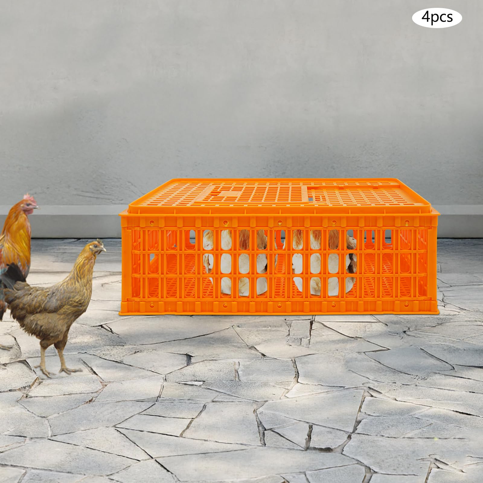 Gabbia Trasporto Pollame in Plastica 4 Pezzi Impilabile, Trasportino per Polli Anatre e Conigli con Porta Scorrevole, Struttura Rinforzata Carico 200 kg, Gabbia per Animali da Cortile 77x55x27 cm