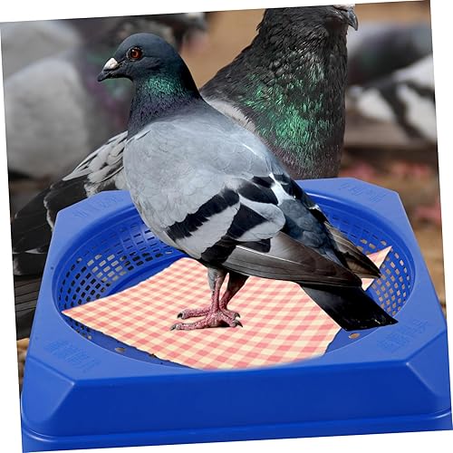 Miniatura 8 de Prenda impermeable plástica de las cajas de anidación de la paloma respirable para la