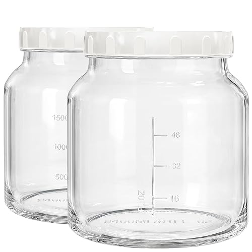 Qianfenie 79 oz Glass Jars with Lids, 2 Pack