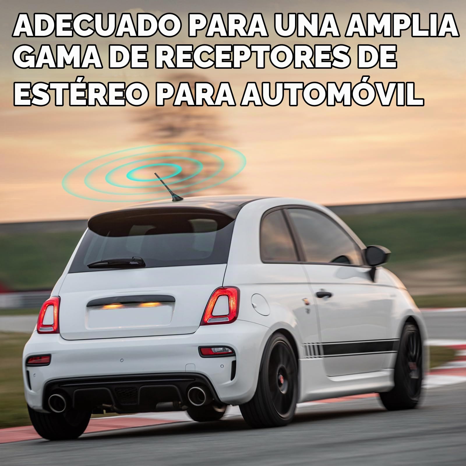 Bingfu Antena Radio FM/Am Coche DIN Universal 22cm,Base de Montaje,Cable 5m | Antena Radio Coche Antena Coche Universal para Automóvil, Camión, Receptor de Unidad Principal Estéreo SUV