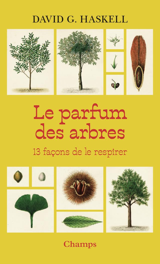 Le parfum des arbres: 13 façons de le respirer