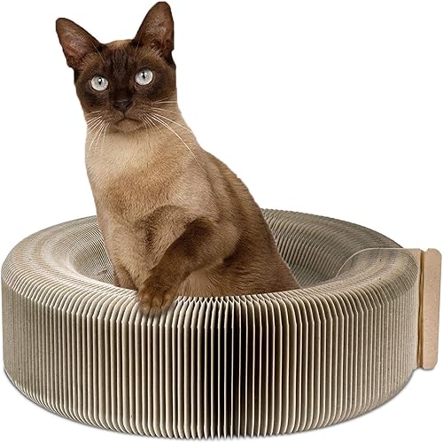 Pawaboo Cama rascadora para gatos Cama de cartón corrugado reciclado, plegable, de alta calidad, con hierba gatera para gatos, gatitos, color beige