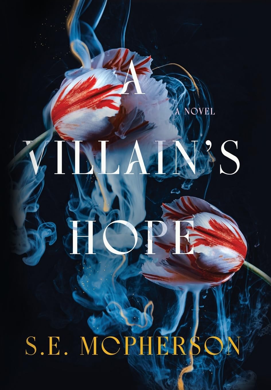 A Villain's Hope (Heart-Mage Trilogy)      Hardcover – March 31, 2026