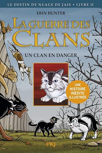 Couverture de Les aventures de Plume Grise, tome 1 : Un clan menacé