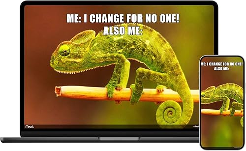 Miniatura 5 de 2024 Animal Memes Monthly Wall Calendar, 12" x 12" (LME3101024)