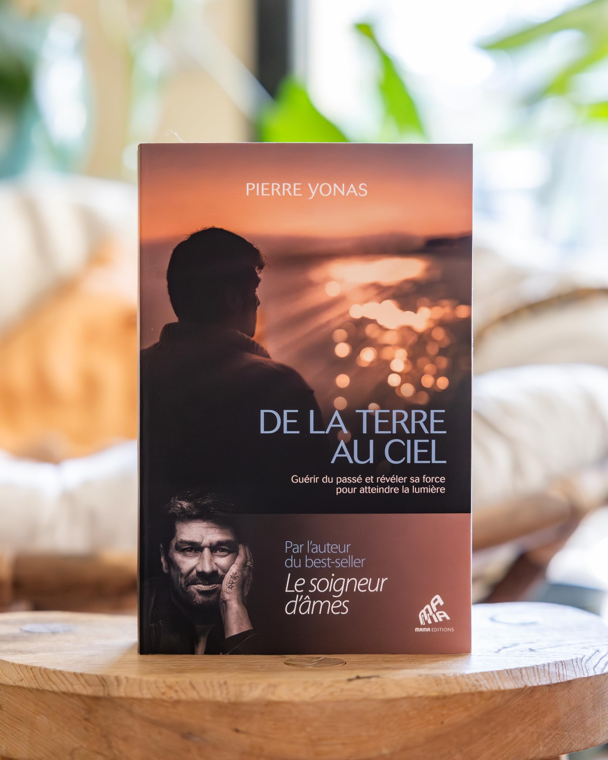 De la Terre au Ciel: Guérir du passé et révéler sa force pour atteindre la lumière