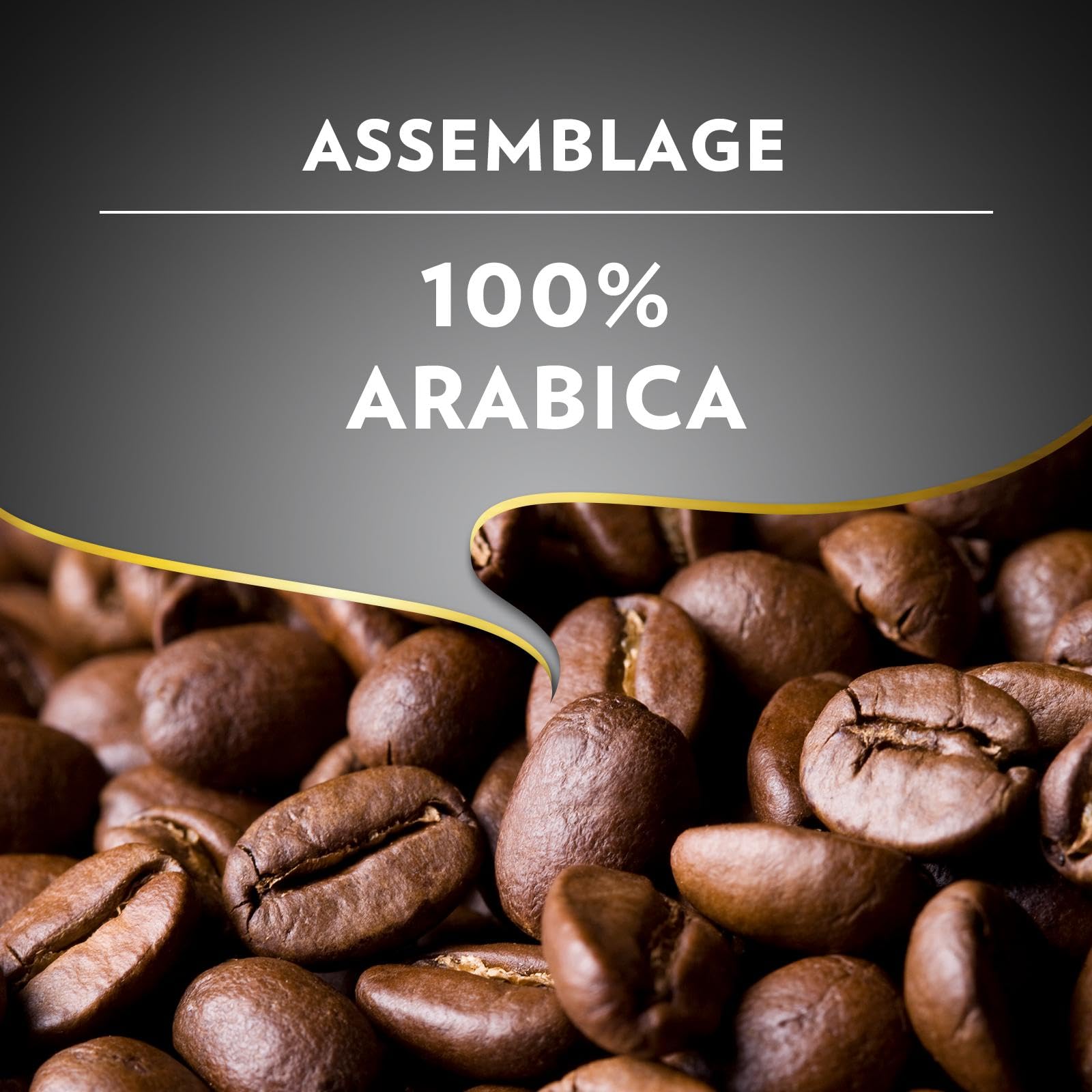 Lavazza - Café Espresso Barista Perfetto - Café Grain Italien - Paquet de 6 kg