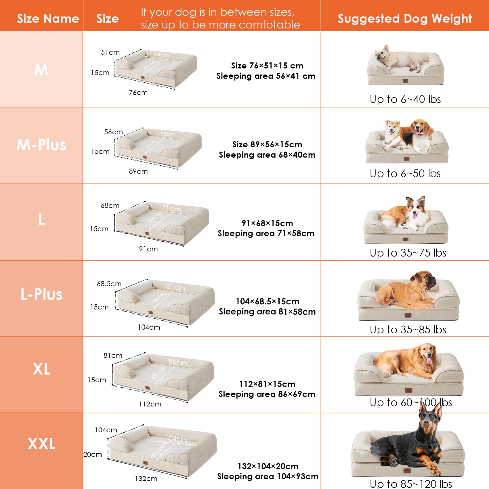 EHEYCIGA Cuccia Cane Interno Taglia Media, Cuscino Cane Impermeabile Sfoderabile e Lavabile, Letto per Cani con tre Lati Rialzati Ortopedico, Cuccia Divano per Cani, Beige, 76x51x16cm