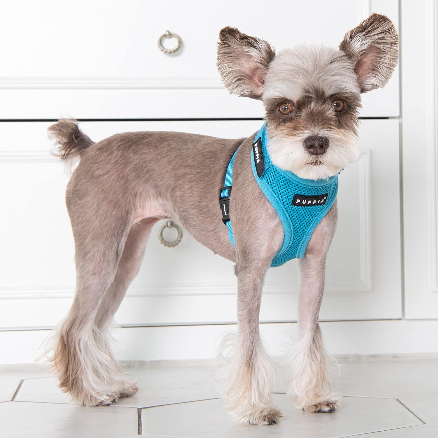 Puppia Soft Superior Dog Harness Air Mesh Over-The-Head All Season No Pull No Choke Walking Training Adjustable Neck & Chest for Small & Medium Dog - Sky Blue - M