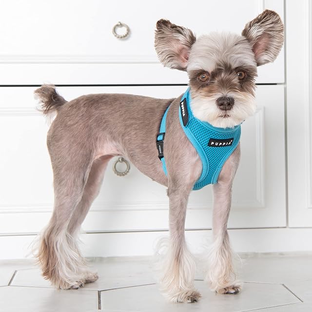 Foto 4 de 5 de Puppia Arnés para Perro - Suave y Superior arnés A - para Perros pequeños y medianos