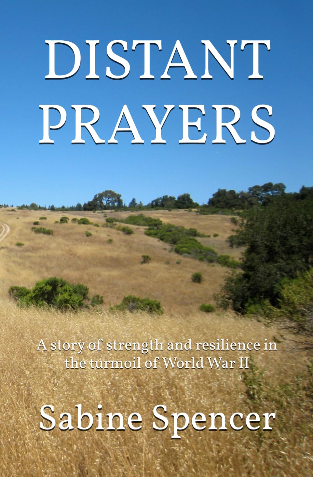 DISTANT PRAYERS: A story of strength and resilience in the turmoil of World War II