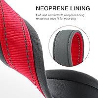 Vista 2 de Nylon Personalized Dog Collar with Embroidered Name & Phone, Customizable, Reflective Strip, Soft Neoprene Lining, Durable Metal Buckle - Matching