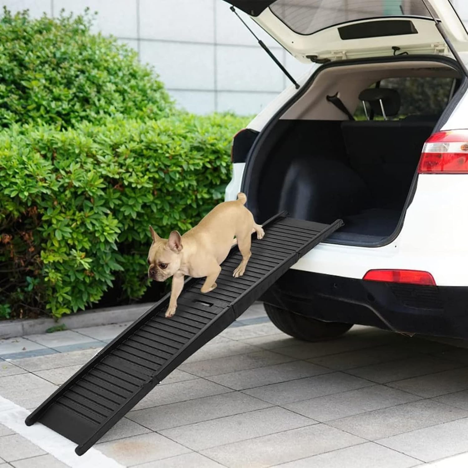 Luxus Rampe Hund Auto Bilder