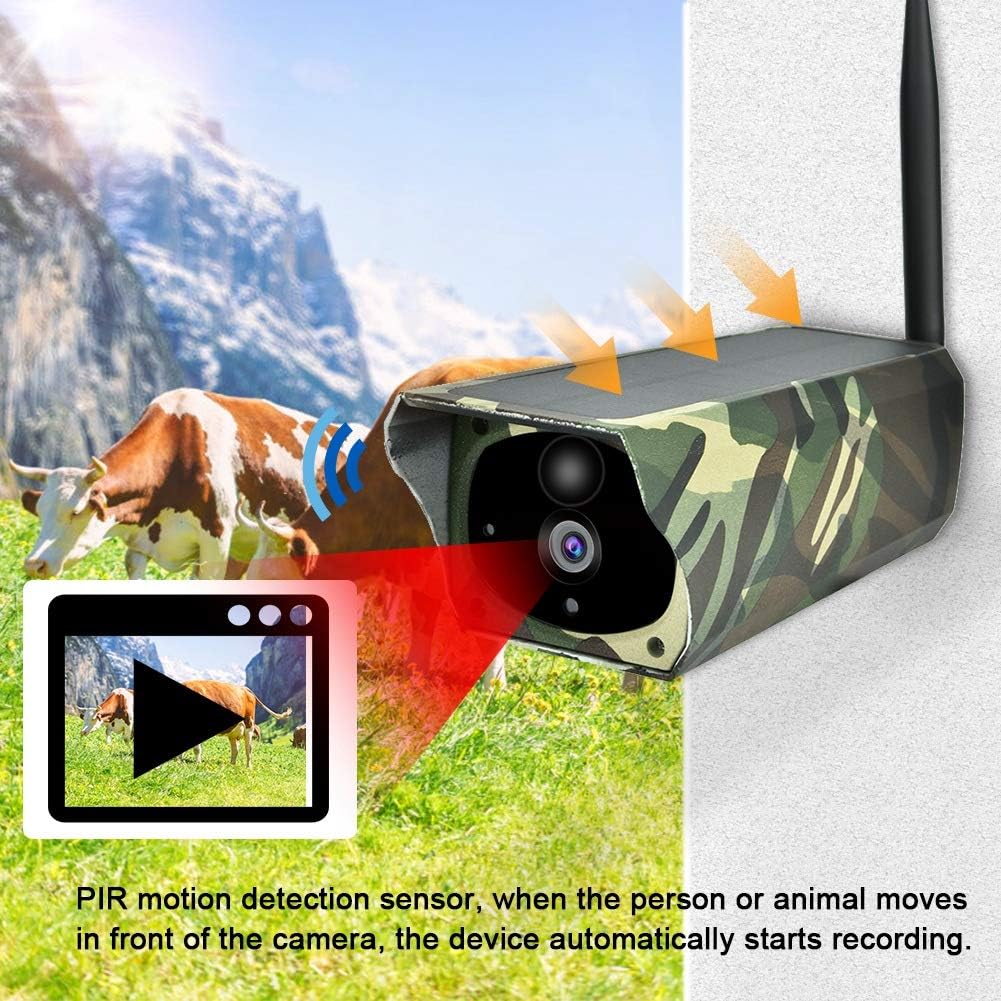 wildlife security camera