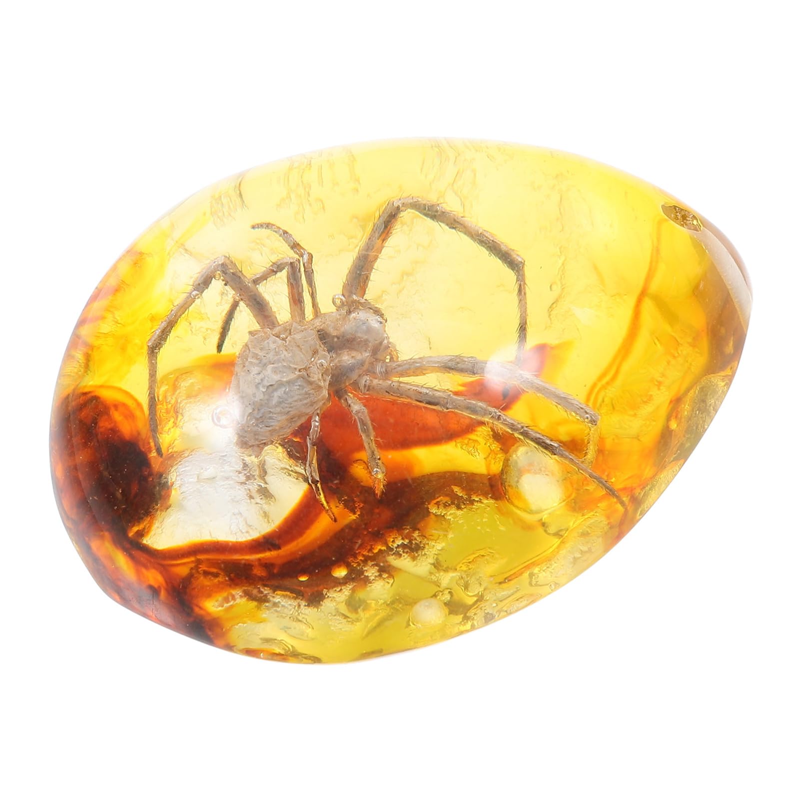 UPKOCH Amber Fossil with Insect Samples Stones Crystal Specimens Home Decorations Collection Oval Pendant Yellow