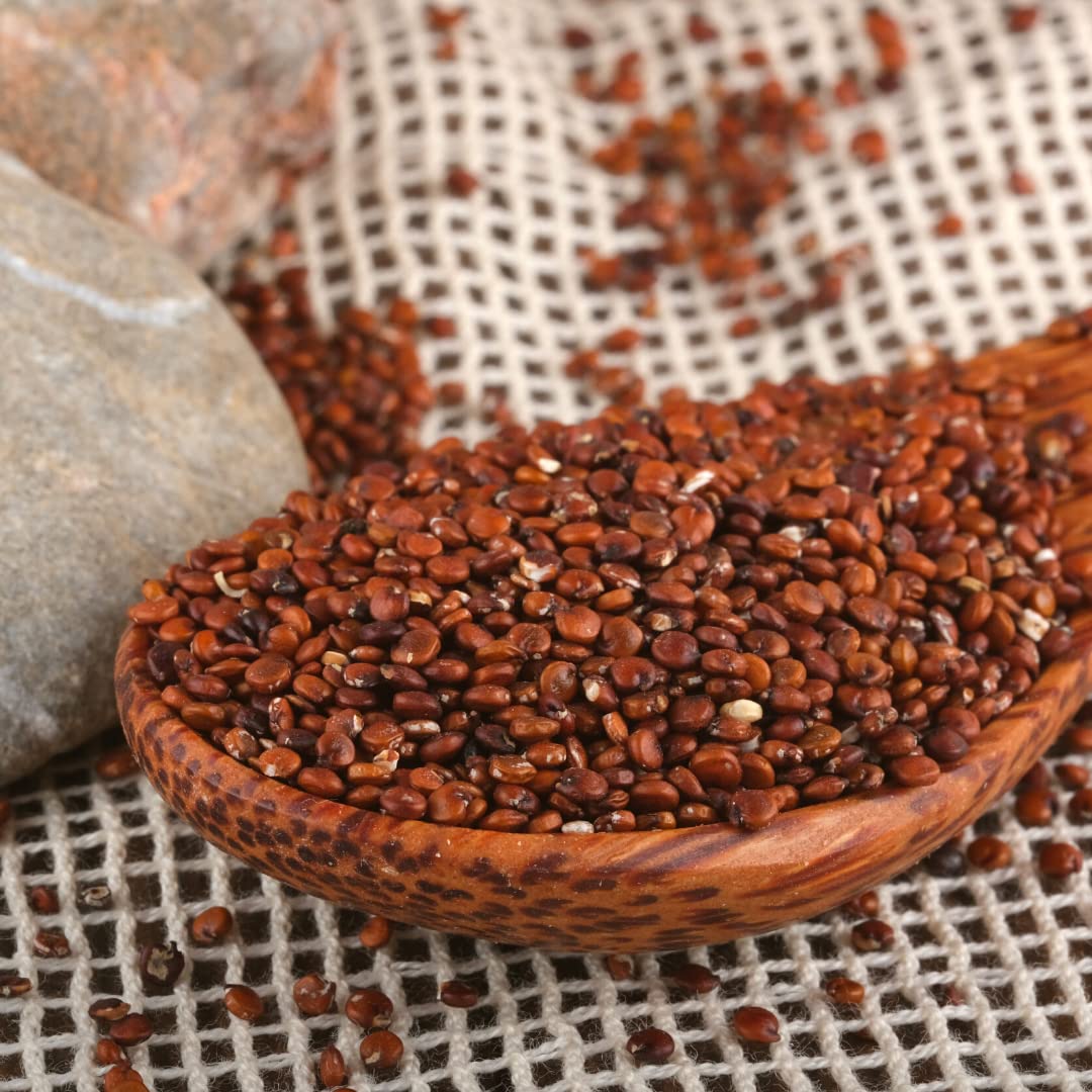 süssundclever.de® Bio Quinoa rot | 1,8 kg | Premium Qualität | plastikfrei und ökologisch-nachhaltig abgepackt