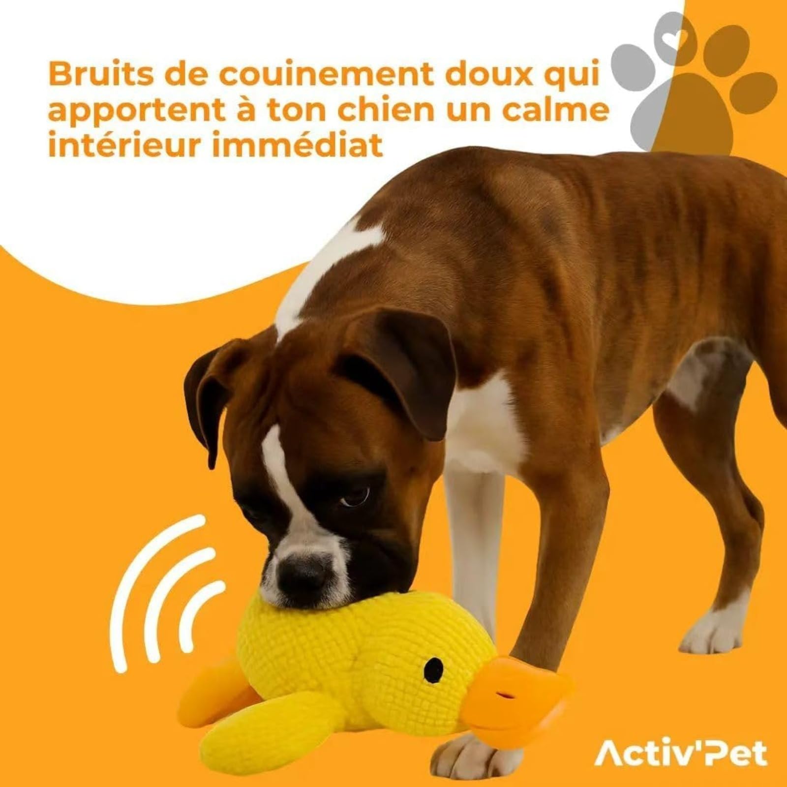 Générique Kaczka Quack-Quack dla psa, kaczka, antystresowa, pluszowa zabawka, piszcząca kaczka dla małych, średnich i dużych psów