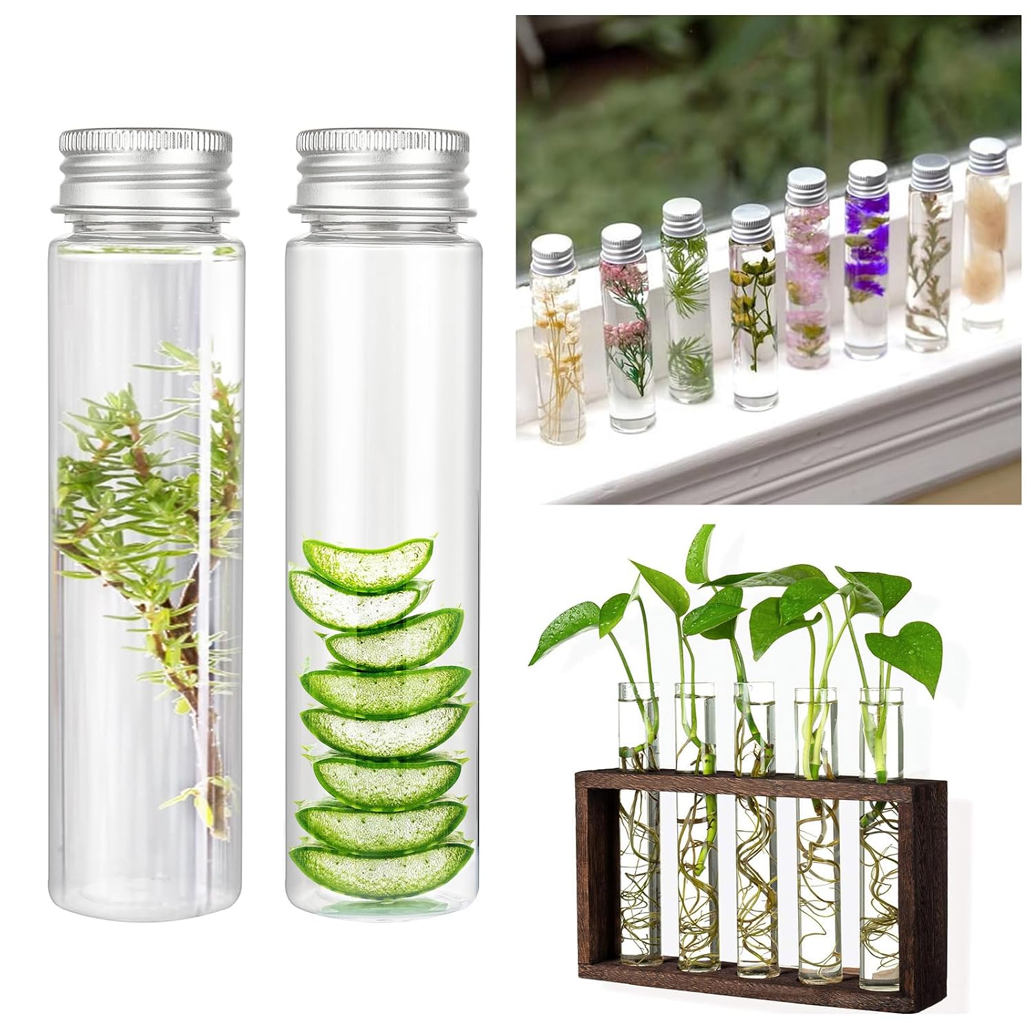 50 PCS 50 ML Clear Plastic Test Tubes with Screw Caps Flat-Bottomed Bath Salt Containers for Candy Gumball Plant Propagation Jewelry