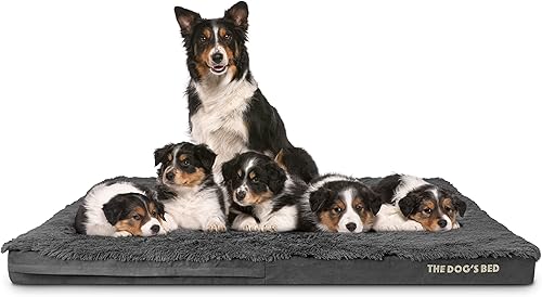 Miniatura 77 de The Dog's Bed - Cama ortopédica de espuma viscoelástica para perro, grande gris y negro, impermeable, cama de apoyo con fundas reemplazables, negro