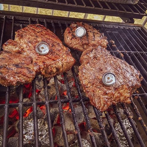 Miniatura 4 de Outset Termómetros para carne F804, metálicos