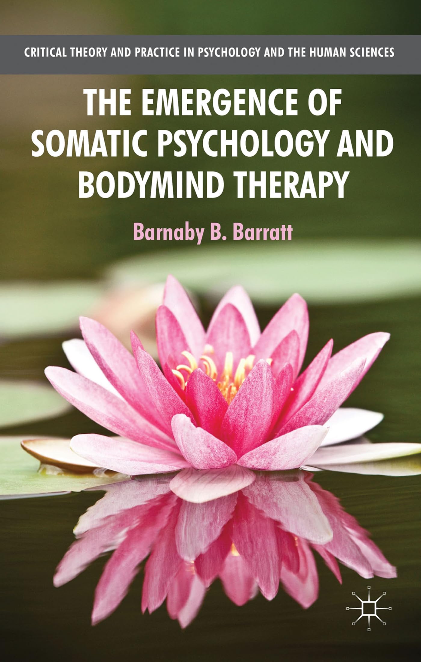 The Emergence of Somatic Psychology and Bodymind Therapy (Critical Theory and Practice in Psychology and the Human Sciences)